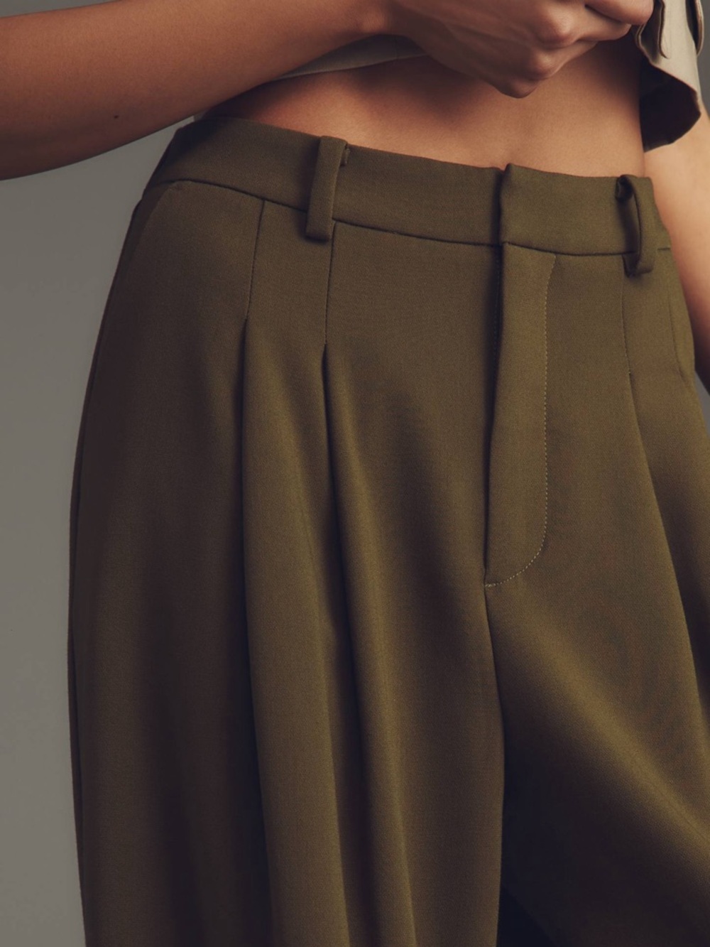 NWT Anthropologie $148 The Avery Wide-Leg Pleated Trousers by Maeve Size XLP - Picture 3 of 11